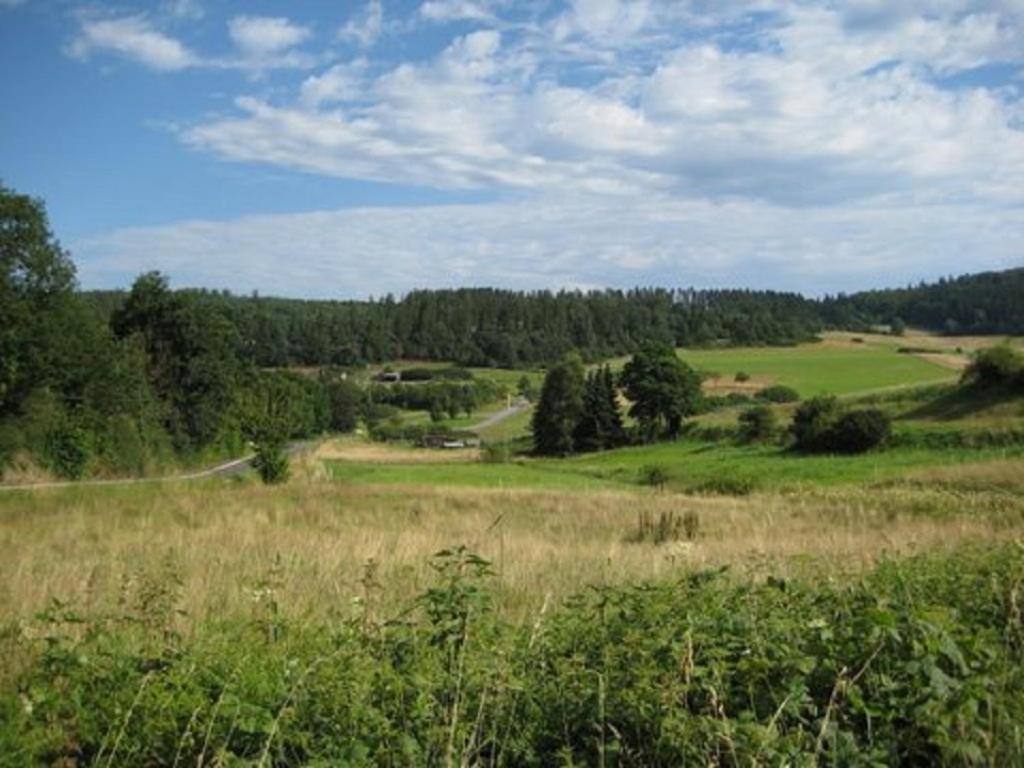 Am Sternberg 211 Hotel Frankenau Kültér fotó